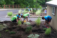 Students volunteer at Discovery Center.