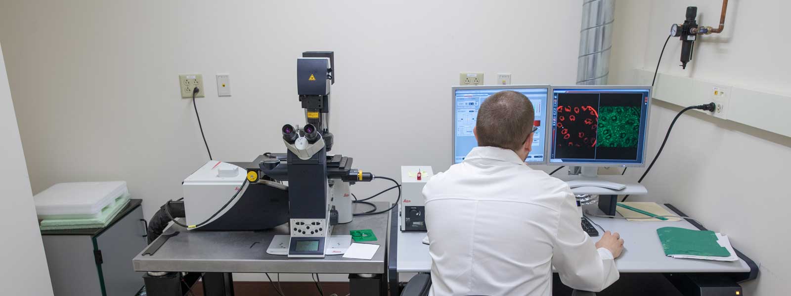 Zeiss LSM880 Confocal Microscope with Multiphoton (NLO) Laser