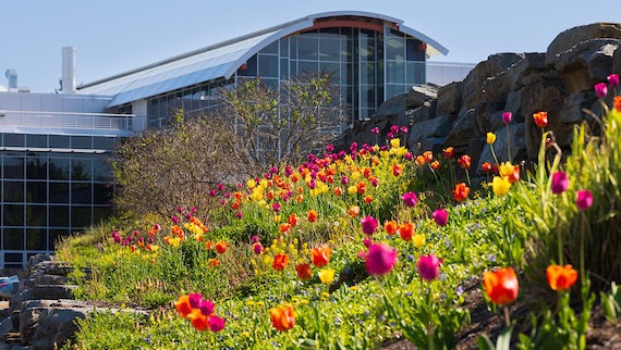 Center of Excellence