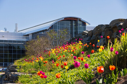Seed grants from The S. H. Ho Foundation Ltd. are accelerating faculty research and bringing them closer to making breakthroughs that have real-world impact.