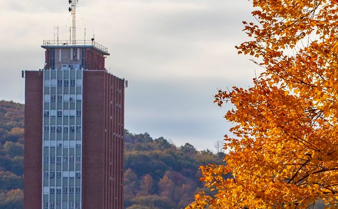 Binghamton University in fall