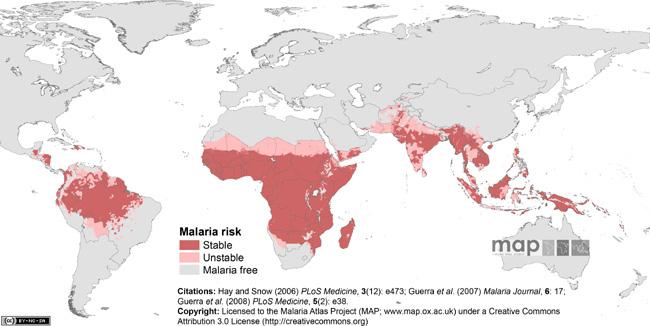 A global map highlighting Malaria risks, stable, unstable and Malaria free. The concentration of Malaria is in the souther hemisphere.