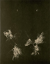 Eldred, Paintings and Drawings