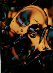 Sarsaparilla to Sorcery