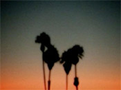 Lost and Found: A Closed Eye Can Never See