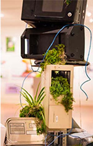 The World After Us: Imaging techno-aesthetic futures 