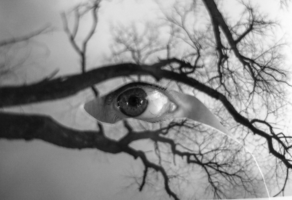 Photography Student Work