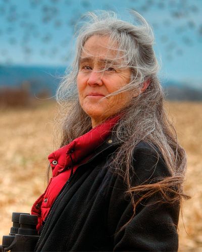 headshot of Anne Clark