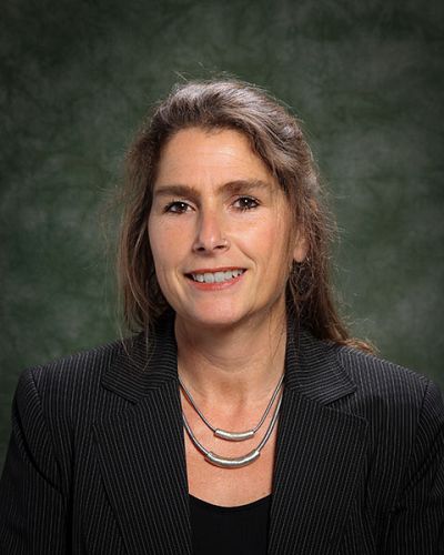 headshot of Marina Sitrin
