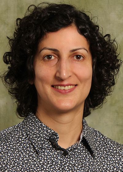 headshot of Shahrzad (Sherry) Towfighian