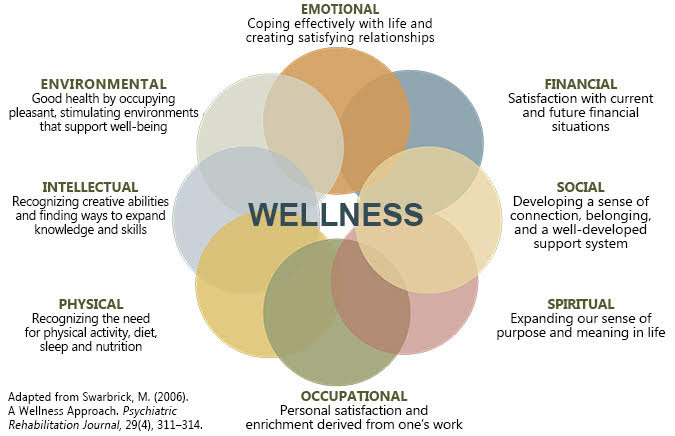 wellness model graphic
