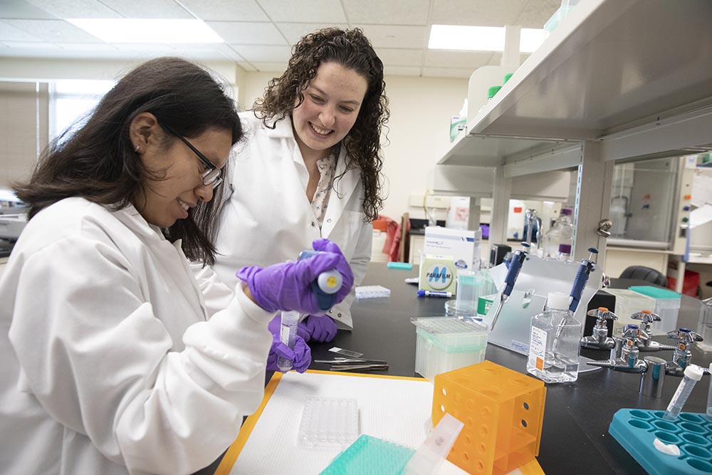hookway lab