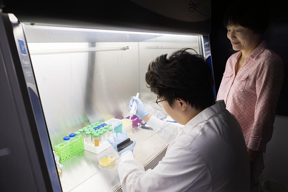 jin lab