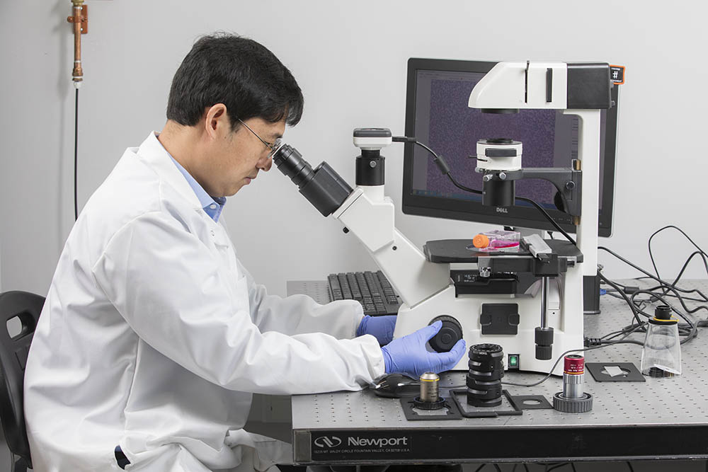 lu lab