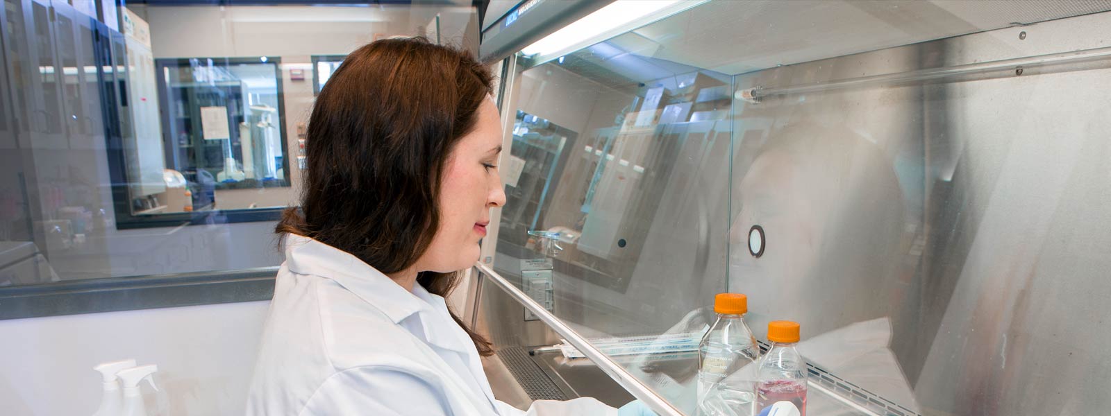 UTA BIOMEDICAL ENGINEERING TRANSFER REQUIREMENTS visual data 4