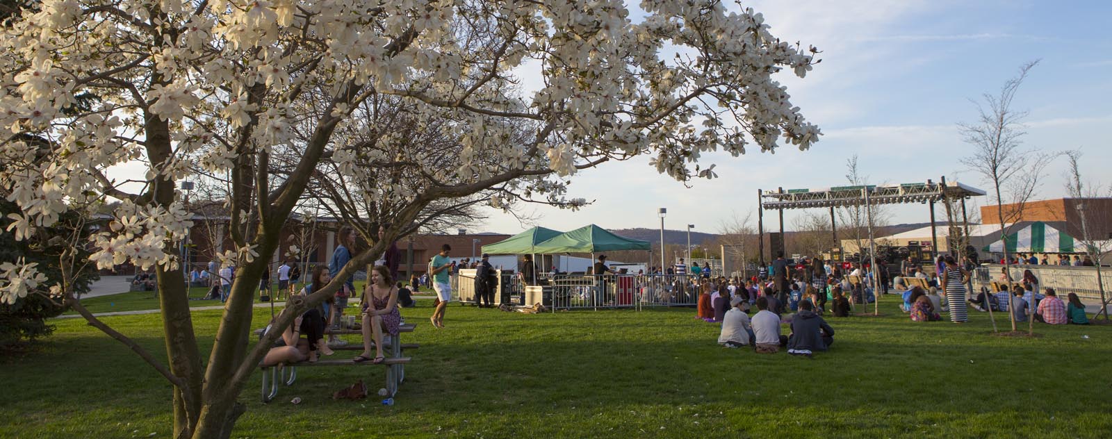 Campus Activities Binghamton University