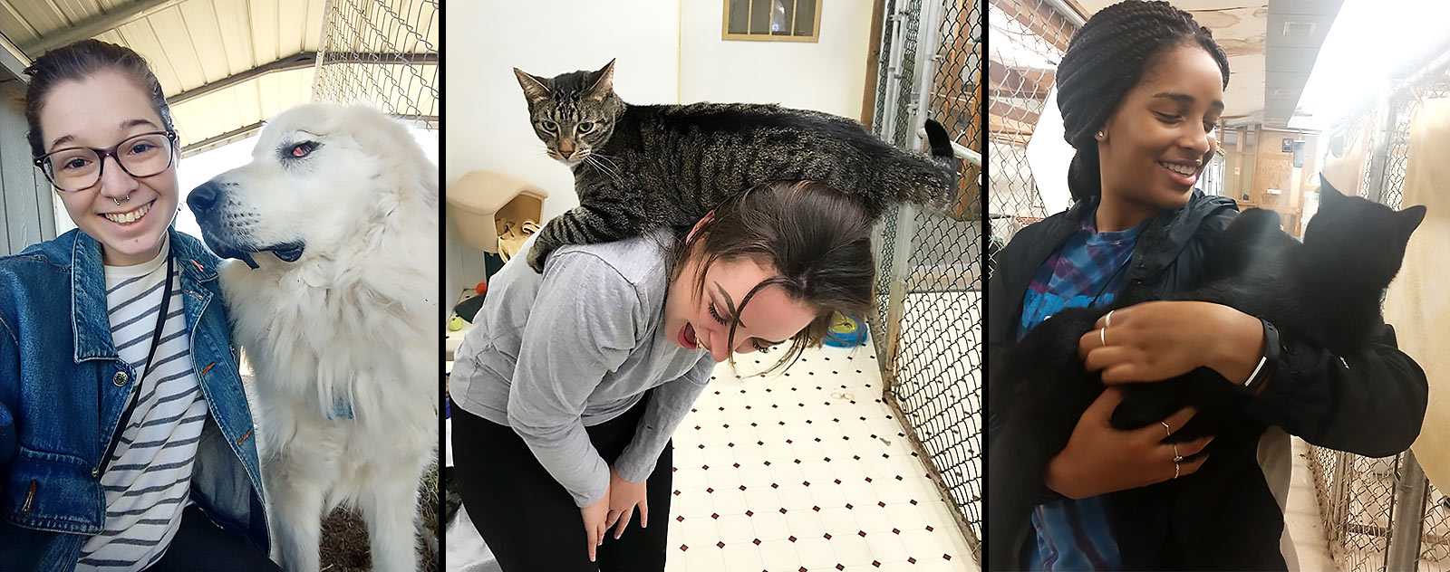 Volunteer Spotlight Paws and Effect Center for Civic Engagement