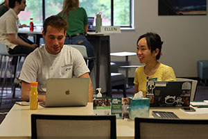Two students on laptops engaging in career services. photo