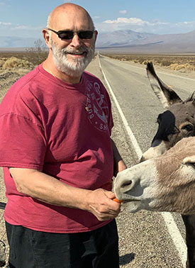 headshot image of david stone