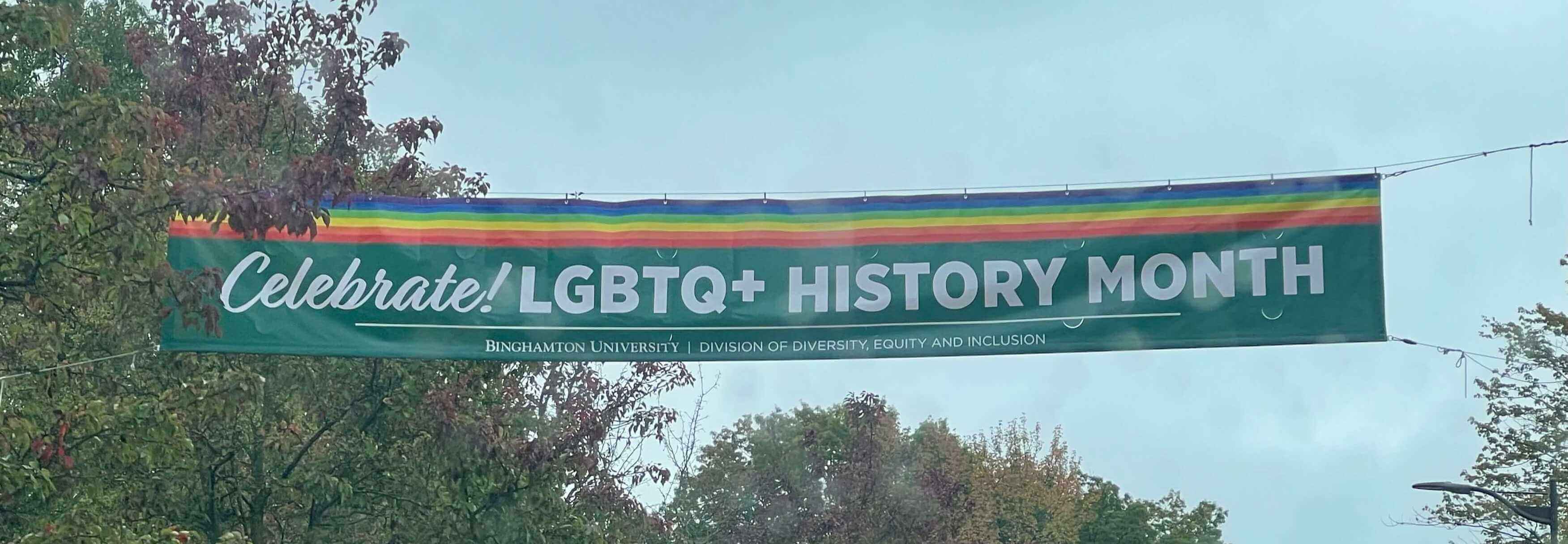 lgbtq history month banner