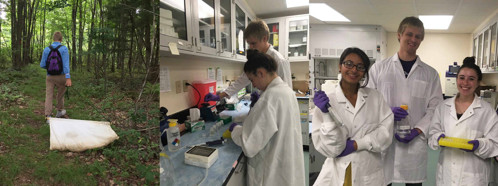 Lyme Disease Center News/Conference Tickborne Disease Center