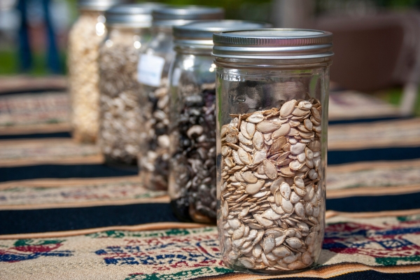 Jars of seeds lined up on a table