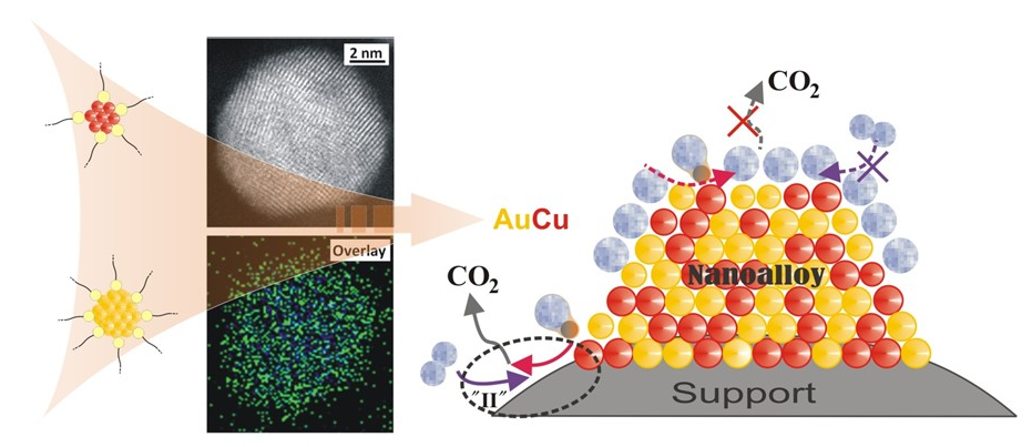 Image and Scheme showing gold-copper nanoparticle catalysts for CO oxidation