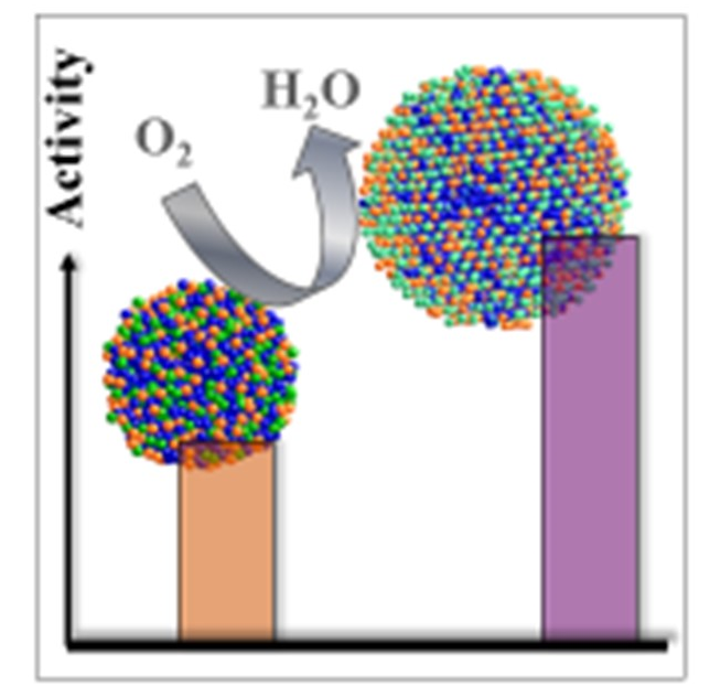 Scheme showing electrocatalytic activity of nanoalloy catalysts in ORR