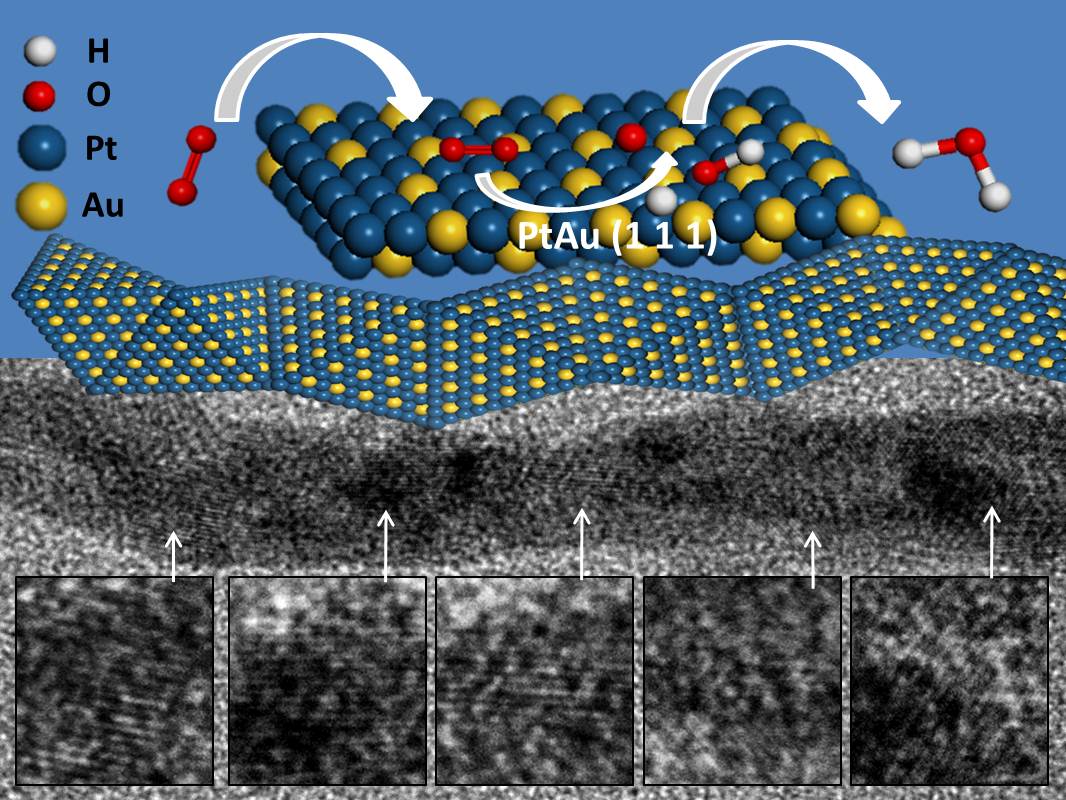 Image and Scheme showing platinum-gold alloy nanowires in electrocatalysis
