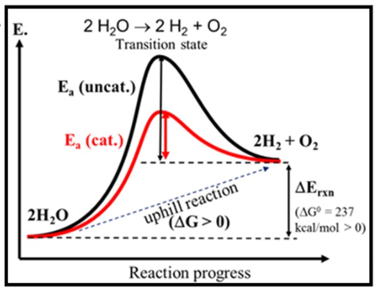 Scheme showing catalysts in water-splitting electrocatalysis