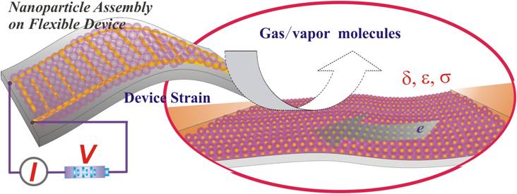Photo, Image and Scheme showing nanoparticle-structured sensing interfaces on flexible devices