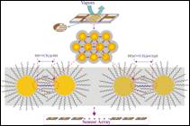 Scheme showing sensor arrays from molecularly-mediated thin Film assemblies of nanoparticles for detection of VOCs