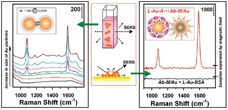 Image and Scheme showing interparticle-linked nanoparticles using different linker molecules and examples of SERS responses
