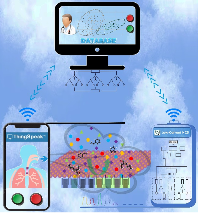 Scheme showing nanostructured sensors/biosensors for applications in medical diagnostics and environmental monitoring