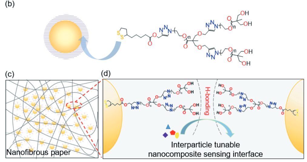 Scheme showing nanostructured sensing mechanism in fibrous sensors and examples in breath and sweat sensing applications