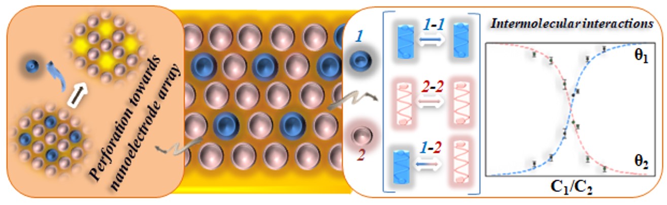 Scheme showing nanoelectrode arrays and molecularly-tuned gating mechanisms
