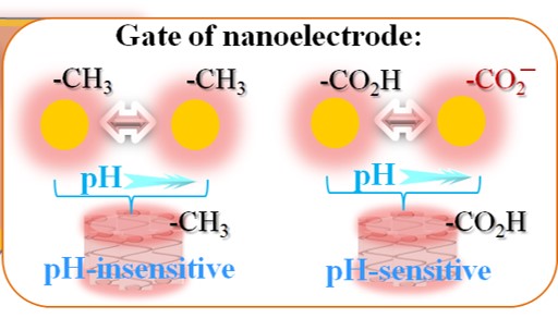 Scheme showing nanoelectrode arrays and molecularly-tuned gating mechanisms
