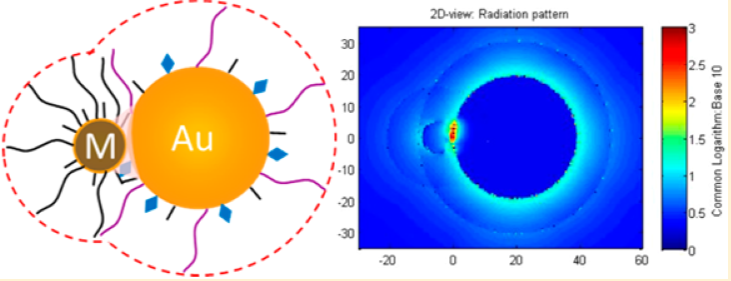 Scheme showing calculated SERS signal amplification for DNA-linked nanoparticle assembly