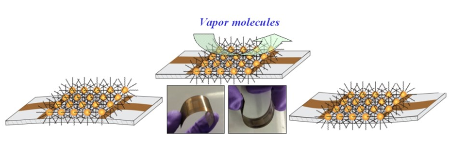 Photo and Scheme showing nanoparticle-structures interfaces on flexible devices