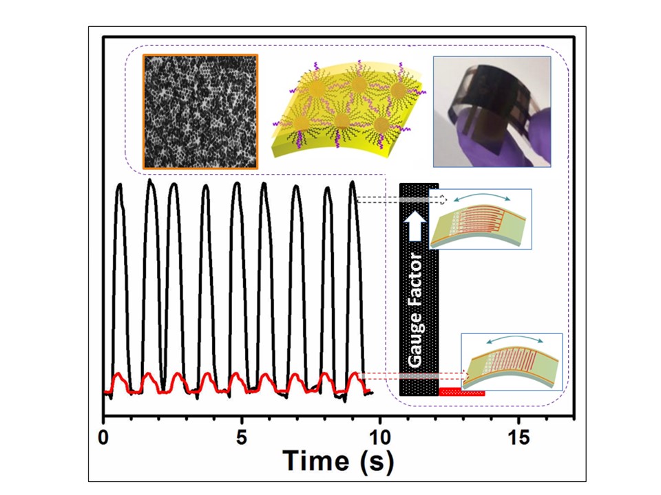 Image, Photo, and Scheme showing a nanostructured anisotropic gauge sensor