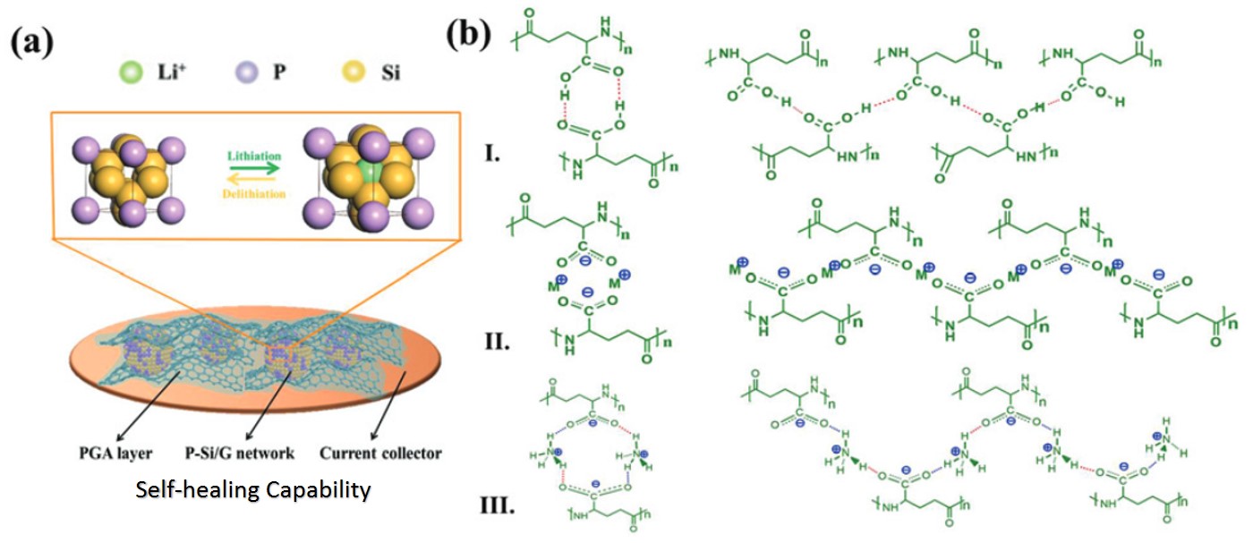Scheme showing the network structures for self-healing of the anode