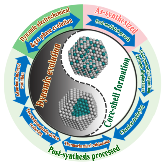Scheme showing nanoscale dynamic structures