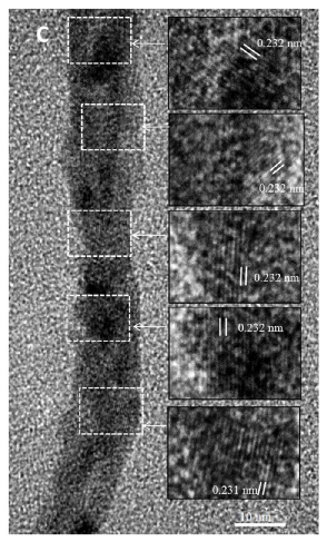 Image and Scheme showing platinum-gold alloy nanowires
