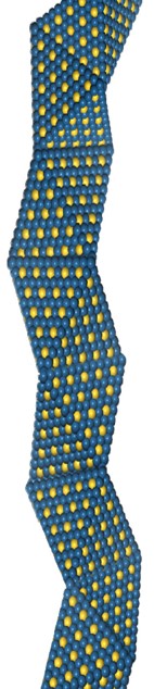 Image and Scheme showing platinum-gold alloy nanowires