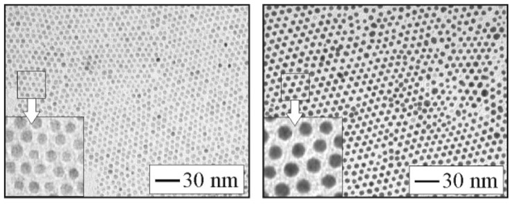 Image and Scheme showing size-controlled iron oxide-gold Core-Shell nanoparticles