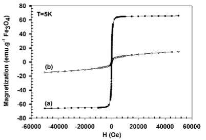 Image and Scheme showing size-controlled iron oxide-gold Core-Shell nanoparticles