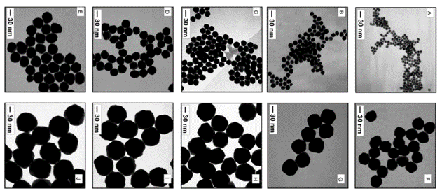Image and spectra showing size control of gold nanoparticles