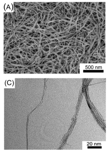 Image showing Au and PtCu nanowires
