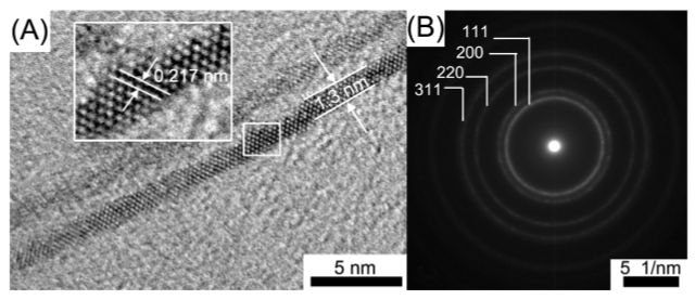 Image showing Au and PtCu nanowires