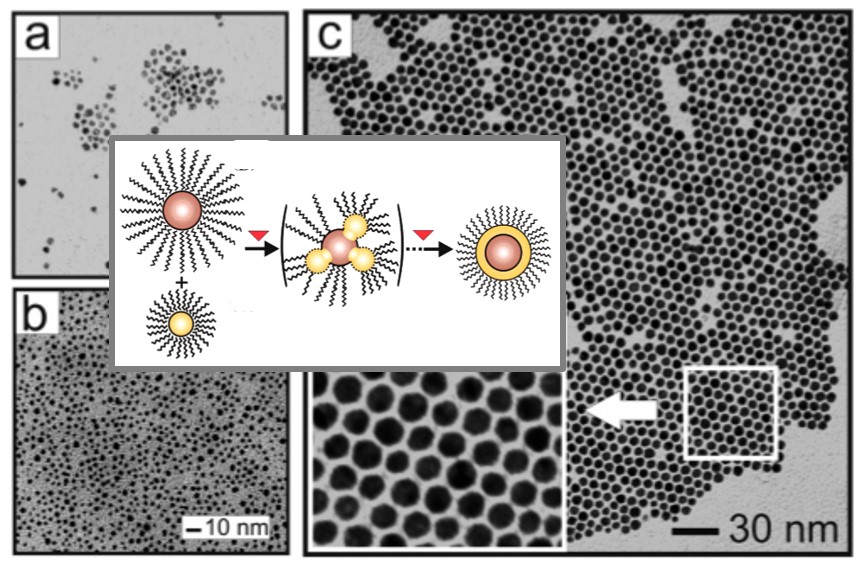 Image and Scheme showing fabrication of magnetic Core@Shell Fe-Oxide@Au nanoparticles